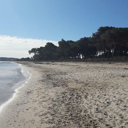 Villa Le Grilladou Hyères المظهر الخارجي الصورة